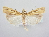  ( - BC ZSM Lep 64050)  @13 [ ] Unspecified (default): All Rights Reserved  Unspecified Unspecified