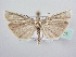  ( - BC ZSM Lep 64051)  @14 [ ] Unspecified (default): All Rights Reserved  Unspecified Unspecified