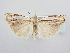  ( - BC ZSM Lep 64059)  @14 [ ] Unspecified (default): All Rights Reserved  Unspecified Unspecified