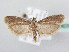  ( - BC ZSM Lep 64076)  @14 [ ] Unspecified (default): All Rights Reserved  Unspecified Unspecified