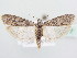  ( - BC ZSM Lep 64077)  @14 [ ] Unspecified (default): All Rights Reserved  Unspecified Unspecified