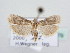  ( - BC ZSM Lep 64079)  @14 [ ] Unspecified (default): All Rights Reserved  Unspecified Unspecified