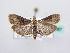  ( - BC ZSM Lep 64087)  @11 [ ] Unspecified (default): All Rights Reserved  Unspecified Unspecified