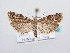  ( - BC ZSM Lep 64090)  @14 [ ] Unspecified (default): All Rights Reserved  Unspecified Unspecified