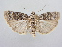  ( - BC ZSM Lep 64107)  @14 [ ] Unspecified (default): All Rights Reserved  Unspecified Unspecified