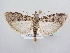  ( - BC ZSM Lep 64108)  @14 [ ] Unspecified (default): All Rights Reserved  Unspecified Unspecified