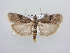  ( - BC ZSM Lep 64112)  @13 [ ] Unspecified (default): All Rights Reserved  Unspecified Unspecified