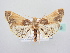  ( - BC ZSM Lep 64130)  @13 [ ] Unspecified (default): All Rights Reserved  Unspecified Unspecified