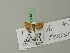  ( - BC ZSM Lep 70213)  @12 [ ] Unspecified (default): All Rights Reserved  Unspecified Unspecified