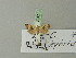  ( - BC ZSM Lep 70217)  @13 [ ] Unspecified (default): All Rights Reserved  Unspecified Unspecified