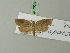  ( - BC ZSM Lep 70225)  @13 [ ] Unspecified (default): All Rights Reserved  Unspecified Unspecified
