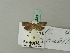  ( - BC ZSM Lep 70239)  @12 [ ] Unspecified (default): All Rights Reserved  Unspecified Unspecified