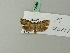  ( - BC ZSM Lep 70265)  @13 [ ] Unspecified (default): All Rights Reserved  Unspecified Unspecified