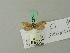  ( - BC ZSM Lep 70274)  @12 [ ] Unspecified (default): All Rights Reserved  Unspecified Unspecified