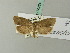  ( - BC ZSM Lep 70284)  @12 [ ] Unspecified (default): All Rights Reserved  Unspecified Unspecified