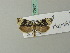  ( - BC ZSM Lep 70287)  @12 [ ] Unspecified (default): All Rights Reserved  Unspecified Unspecified