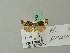  ( - BC ZSM Lep 70293)  @13 [ ] Unspecified (default): All Rights Reserved  Unspecified Unspecified