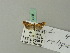  ( - BC ZSM Lep 70305)  @12 [ ] Unspecified (default): All Rights Reserved  Unspecified Unspecified