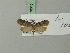  ( - BC ZSM Lep 70310)  @13 [ ] Unspecified (default): All Rights Reserved  Unspecified Unspecified