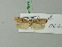  ( - BC ZSM Lep 70311)  @13 [ ] Unspecified (default): All Rights Reserved  Unspecified Unspecified