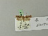  ( - BC ZSM Lep 70314)  @12 [ ] Unspecified (default): All Rights Reserved  Unspecified Unspecified
