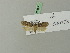  ( - BC ZSM Lep 70315)  @12 [ ] Unspecified (default): All Rights Reserved  Unspecified Unspecified