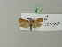  ( - BC ZSM Lep 70316)  @13 [ ] Unspecified (default): All Rights Reserved  Unspecified Unspecified