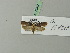  ( - BC ZSM Lep 70317)  @12 [ ] Unspecified (default): All Rights Reserved  Unspecified Unspecified