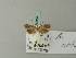  ( - BC ZSM Lep 70357)  @13 [ ] Unspecified (default): All Rights Reserved  Unspecified Unspecified