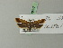  ( - BC ZSM Lep 70377)  @12 [ ] Unspecified (default): All Rights Reserved  Unspecified Unspecified