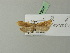  ( - BC ZSM Lep 70378)  @12 [ ] Unspecified (default): All Rights Reserved  Unspecified Unspecified