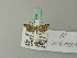 ( - BC ZSM Lep 70383)  @12 [ ] Unspecified (default): All Rights Reserved  Unspecified Unspecified