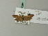  ( - BC ZSM Lep 70384)  @12 [ ] Unspecified (default): All Rights Reserved  Unspecified Unspecified