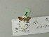  ( - BC ZSM Lep 70386)  @12 [ ] Unspecified (default): All Rights Reserved  Unspecified Unspecified