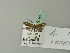  ( - BC ZSM Lep 70387)  @13 [ ] Unspecified (default): All Rights Reserved  Unspecified Unspecified