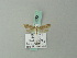  ( - BC ZSM Lep 70390)  @12 [ ] Unspecified (default): All Rights Reserved  Unspecified Unspecified