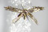  ( - BC ZSM Lep 70702)  @12 [ ] Unspecified (default): All Rights Reserved  Unspecified Unspecified