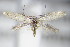  ( - BC ZSM Lep 70744)  @14 [ ] Unspecified (default): All Rights Reserved  Unspecified Unspecified
