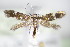  ( - BC ZSM Lep 70798)  @11 [ ] Unspecified (default): All Rights Reserved  Unspecified Unspecified
