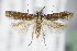  ( - BC ZSM Lep 71059)  @14 [ ] CreativeCommons - Attribution Non-Commercial Share-Alike (2015) Unspecified SNSB, Zoologische Staatssammlung Muenchen
