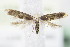  ( - BC ZSM Lep 72023)  @13 [ ] Unspecified (default): All Rights Reserved  Unspecified Unspecified