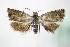  ( - BC ZSM Lep 72074)  @11 [ ] Unspecified (default): All Rights Reserved  Unspecified Unspecified