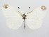  ( - BC ZSM Lep 72214)  @13 [ ] Unspecified (default): All Rights Reserved  Unspecified Unspecified