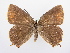  ( - BC ZSM Lep 72234)  @14 [ ] Unspecified (default): All Rights Reserved  Unspecified Unspecified