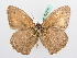  ( - BC ZSM Lep 72275)  @13 [ ] Unspecified (default): All Rights Reserved  Unspecified Unspecified