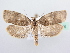  ( - BC ZSM Lep 72344)  @13 [ ] Unspecified (default): All Rights Reserved  Unspecified Unspecified
