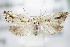  ( - BC ZSM Lep 72421)  @14 [ ] Unspecified (default): All Rights Reserved  Unspecified Unspecified