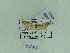  ( - BC ZSM Lep 70507)  @11 [ ] Unspecified (default): All Rights Reserved  Unspecified Unspecified