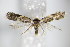  ( - BC ZSM Lep 64204)  @13 [ ] Unspecified (default): All Rights Reserved  Unspecified Unspecified