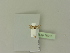  ( - BC ZSM Lep 76213)  @11 [ ] Unspecified (default): All Rights Reserved  Unspecified Unspecified